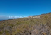 Non-developable land for sale on Calle Lomada Grande, Las Tricias, ref: TR108190 photo