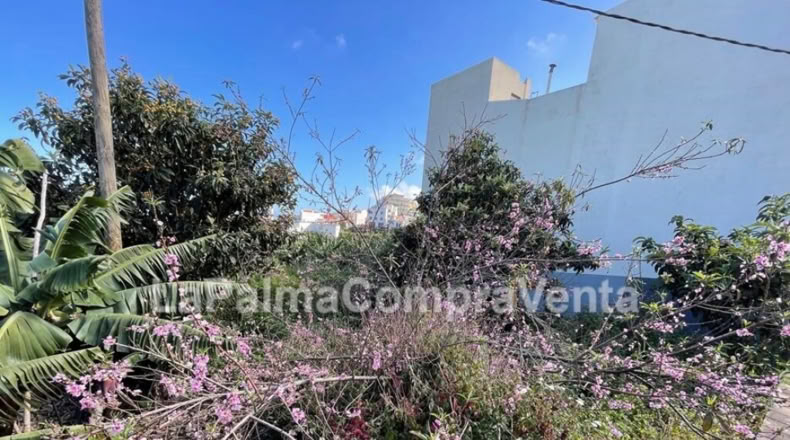 Santa Cruz de Tenerife - Los Sauces - 358m2