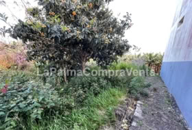Lomo Gil 358&nbsp;m² 