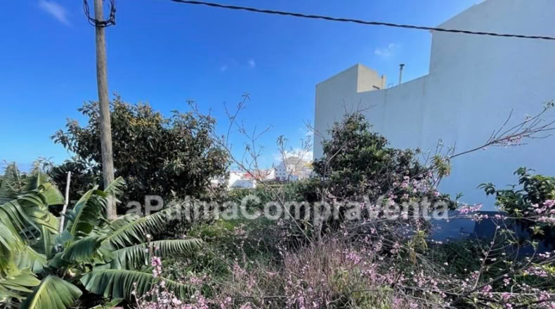 Santa Cruz de Tenerife - Los Sauces - 358m2