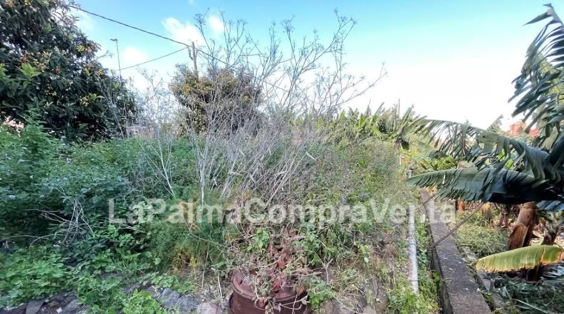Santa Cruz de Tenerife - Los Sauces - 358m2
