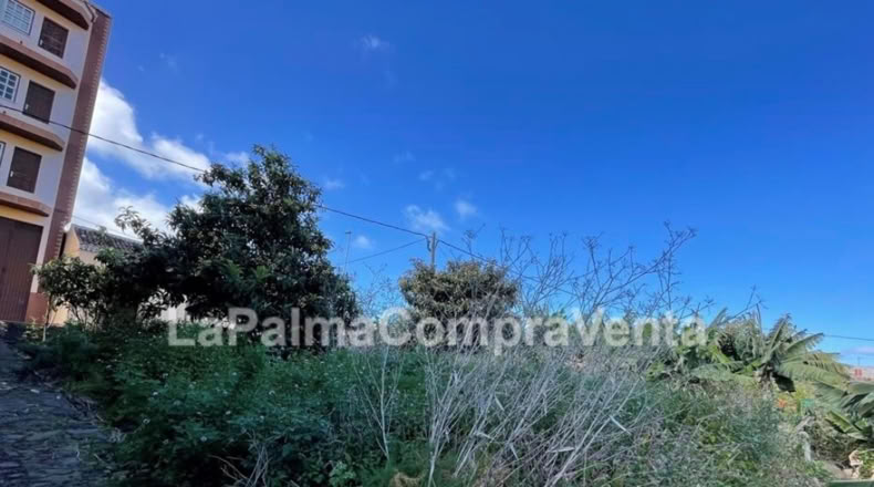 Santa Cruz de Tenerife - Los Sauces - 358m2