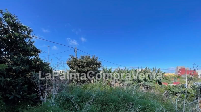 Santa Cruz de Tenerife - Los Sauces - 358m2