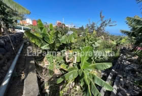 Lomo Gil 358&nbsp;m² 