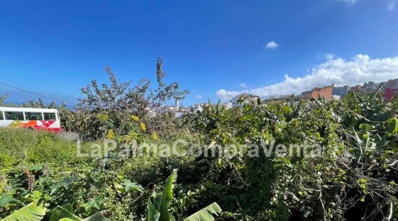 Santa Cruz de Tenerife - Los Sauces - 358m2