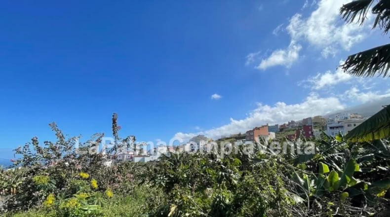Santa Cruz de Tenerife - Los Sauces - 358m2