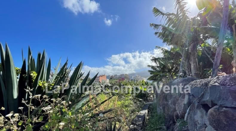 Santa Cruz de Tenerife - Los Sauces - 358m2