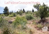 Parcel·la urbanitzable en venda a Puntagorda ref.: TR57805 foto