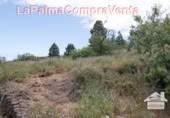 Parcel·la urbanitzable en venda a Puntagorda ref.: TR57805 foto