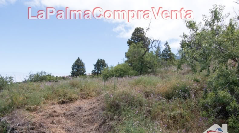 Santa Cruz de Tenerife - El Pinar - 9429m2