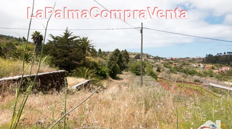 Santa Cruz de Tenerife - El Pinar - 9429m2