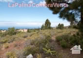 Parcel·la urbanitzable en venda a Puntagorda ref.: TR57805 foto