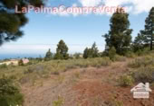 Parcel·la urbanitzable en venda a Puntagorda ref.: TR57805 foto