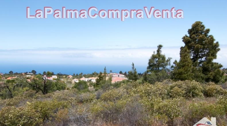 Santa Cruz de Tenerife - El Pinar - 9429m2