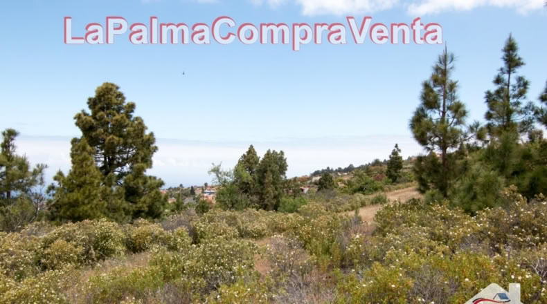 Santa Cruz de Tenerife - El Pinar - 9429m2