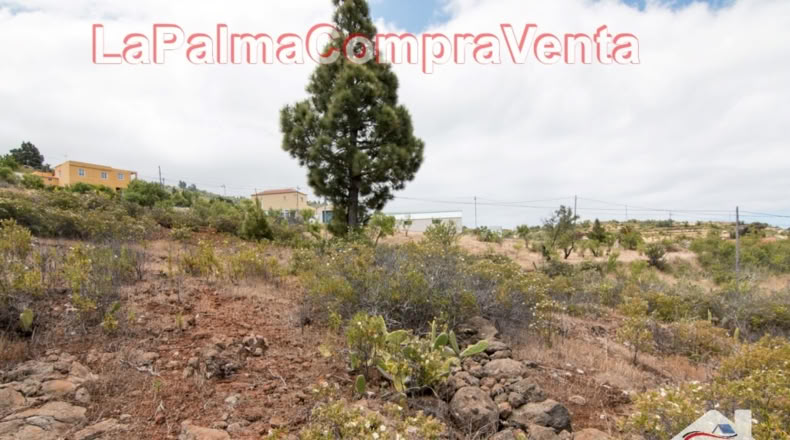 Santa Cruz de Tenerife - El Pinar - 9429m2