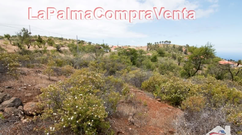 Santa Cruz de Tenerife - El Pinar - 9429m2