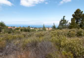 Parcel·la urbanitzable en venda a Puntagorda ref.: TR57805 foto