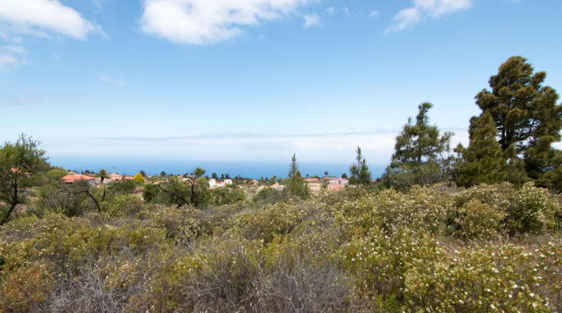 Santa Cruz de Tenerife - El Pinar - 9429m2