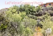 Non-developable land for sale in Puntagorda ref: TR57804 photo