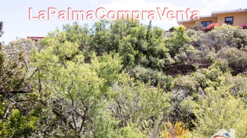 Santa Cruz de Tenerife - El Pino - 11480m2