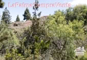 Non-developable land for sale in Puntagorda ref: TR57804 photo