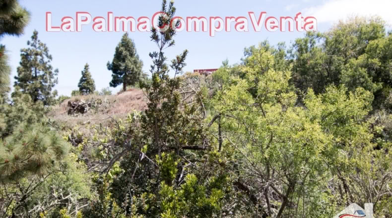 Santa Cruz de Tenerife - El Pino - 11480m2