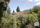 Non-developable land for sale in Puntagorda ref: TR57804 photo