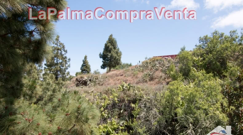 Santa Cruz de Tenerife - El Pino - 11480m2