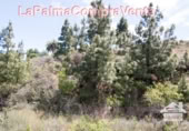 Non-developable land for sale in Puntagorda ref: TR57804 photo