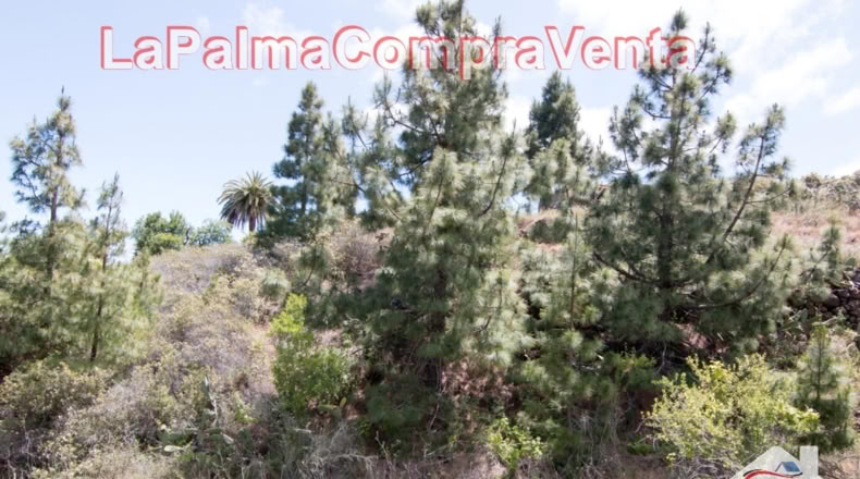 Santa Cruz de Tenerife - El Pino - 11480m2