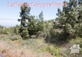 Non-developable land for sale in Puntagorda ref: TR57804 photo