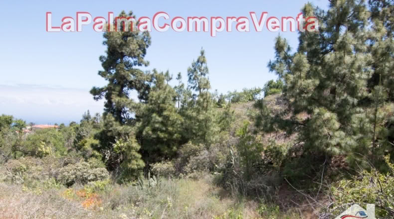 Santa Cruz de Tenerife - El Pino - 11480m2