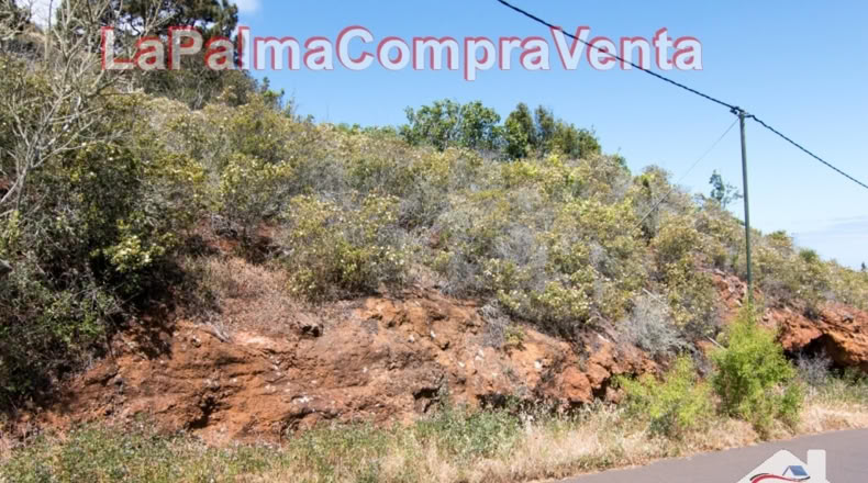 Santa Cruz de Tenerife - El Pino - 11480m2
