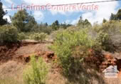 Non-developable land for sale in Puntagorda ref: TR57804 photo