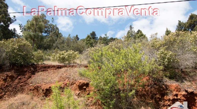 Santa Cruz de Tenerife - El Pino - 11480m2