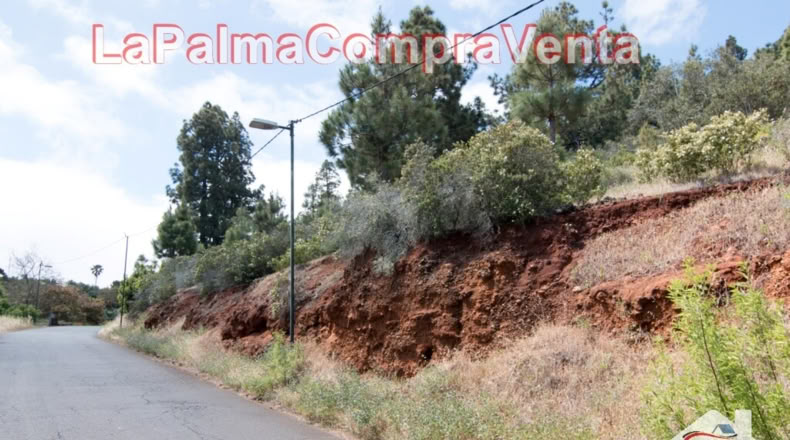 Santa Cruz de Tenerife - El Pino - 11480m2