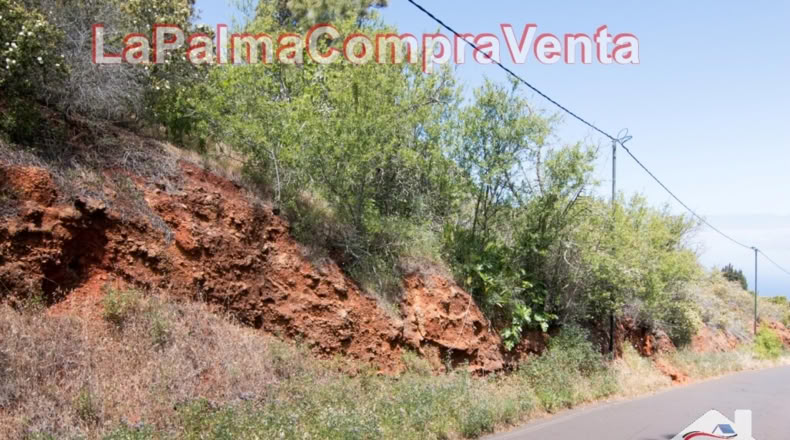 Santa Cruz de Tenerife - El Pino - 11480m2