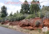 Non-developable land for sale in Puntagorda ref: TR57804 photo