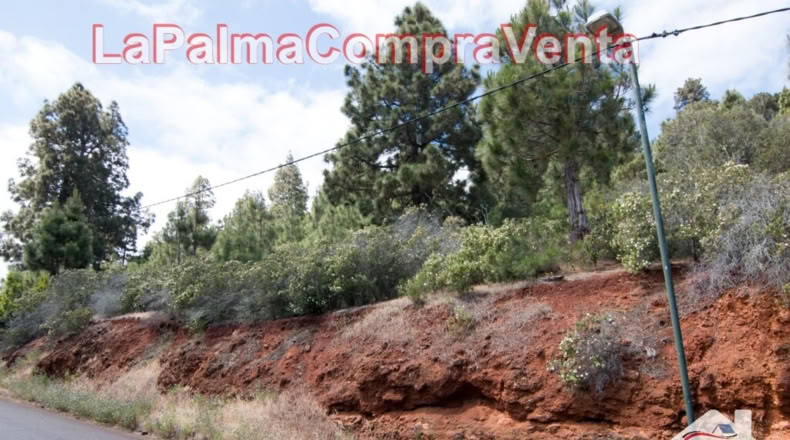 Santa Cruz de Tenerife - El Pino - 11480m2