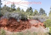 Non-developable land for sale in Puntagorda ref: TR57804 photo