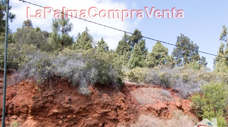 Santa Cruz de Tenerife - El Pino - 11480m2