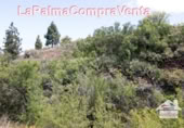 Terreno no urbanizable en venta en Puntagorda ref: TR57803 foto