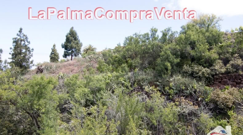 Santa Cruz de Tenerife - El Pinar - 2512m2