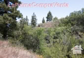 Terreno no urbanizable en venta en Puntagorda ref: TR57803 foto