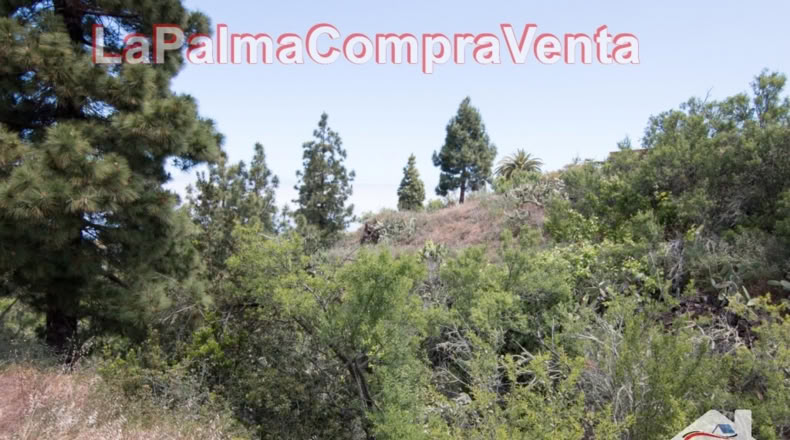 Santa Cruz de Tenerife - El Pinar - 2512m2