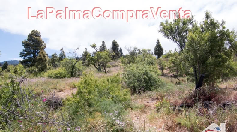 Santa Cruz de Tenerife - El Pinar - 2512m2