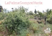 Terreno no urbanizable en venta en Puntagorda ref: TR57803 foto