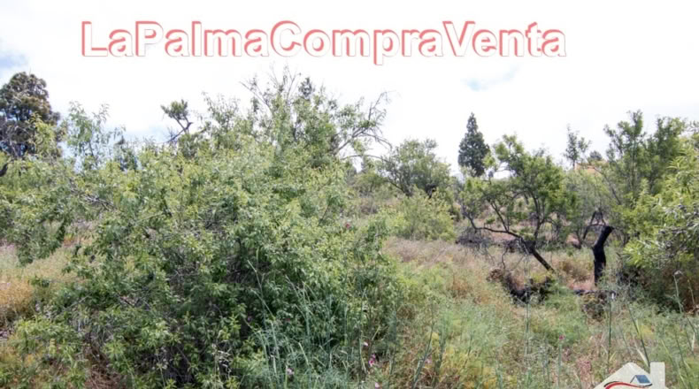 Santa Cruz de Tenerife - El Pinar - 2512m2