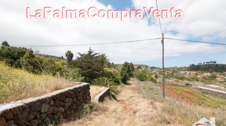 Santa Cruz de Tenerife - El Pinar - 2512m2